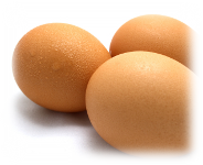 eggs, egg, eggs from hens